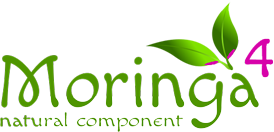 Moringa4